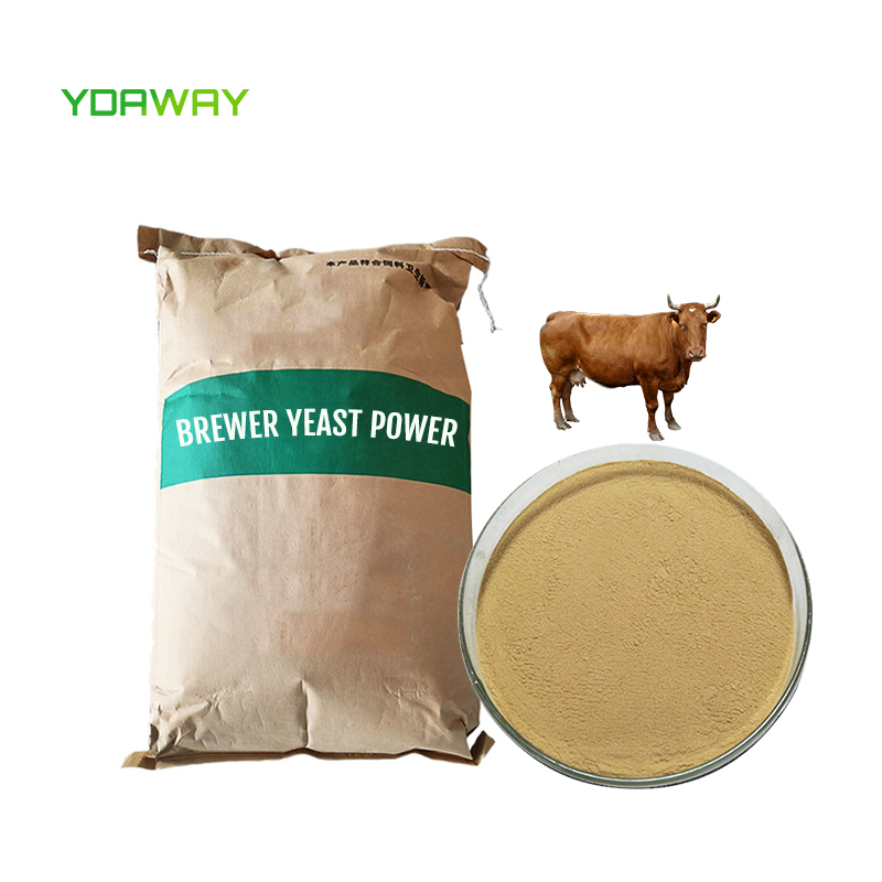 Brewer Yeast Powder