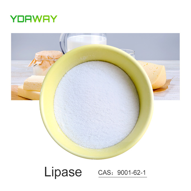 Food Grade Lipase 