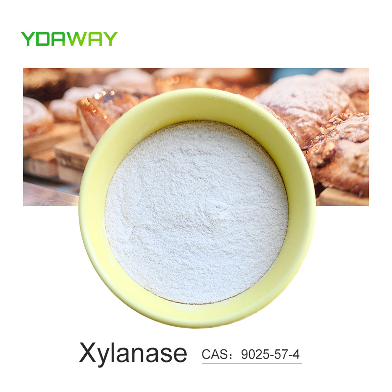 Food Grade Xylanase