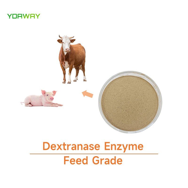 Feed Additives 25kg Bag 50000u/g Beta Dextranase Enzyme Powder for Enhance Immunity