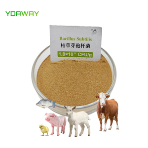 YDAWAY Animal Feed Additives Bacillus Subtilis Powder