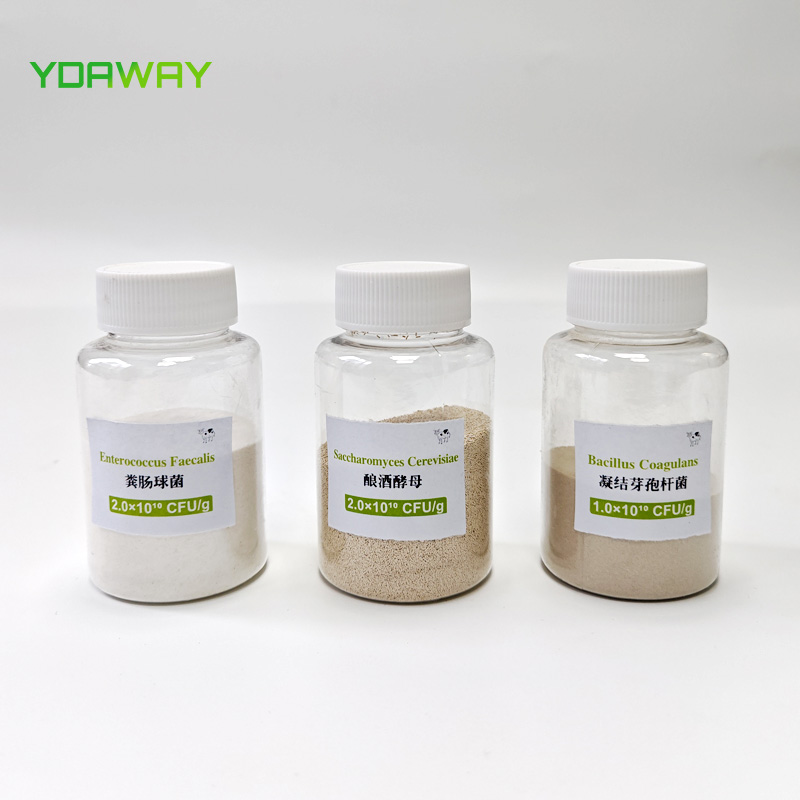 China Factory Saccharomyces Cerevisiae Brewers Yeast Animal Feed Additive for Poultry Livestock Pig Cattle Sheep