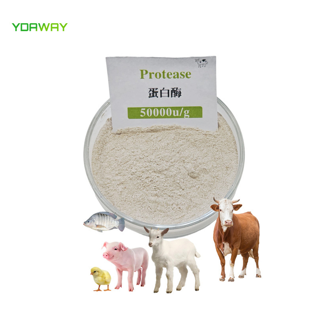 Food Grade Feed Grade Alkaline Protease Enzymes Neutral Protease Powder Cas 9014-01-1