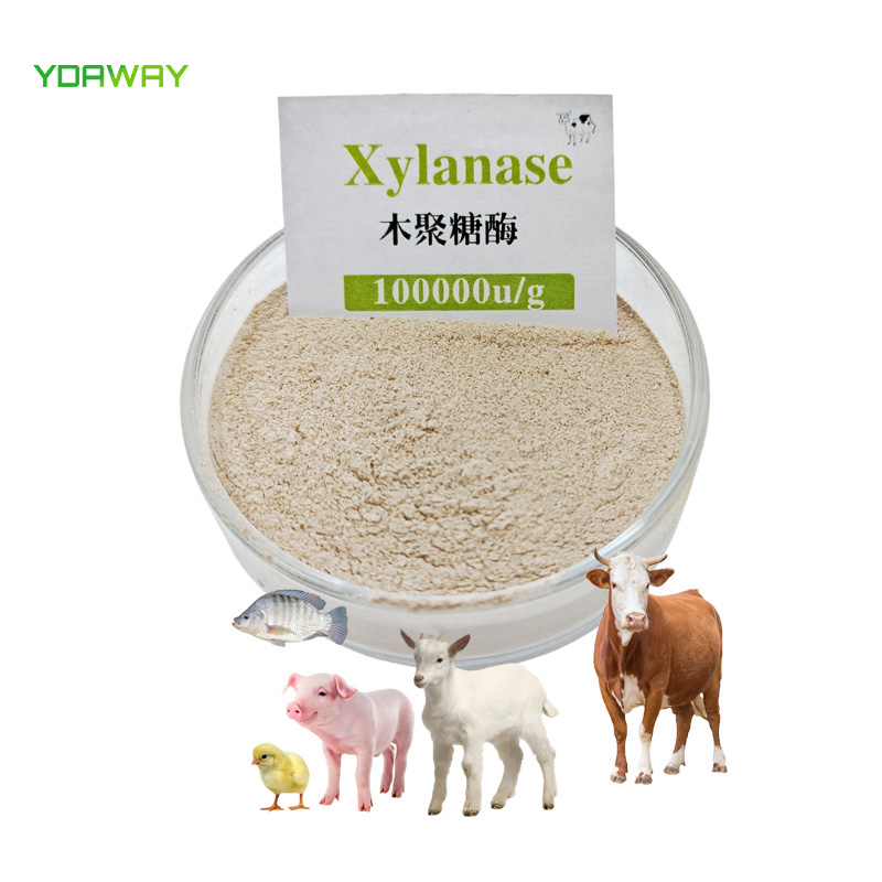 YDAWAY Feed Grade Thermostable Xylanase Enzyme for Animal Feeds to Improve Energy Utilization