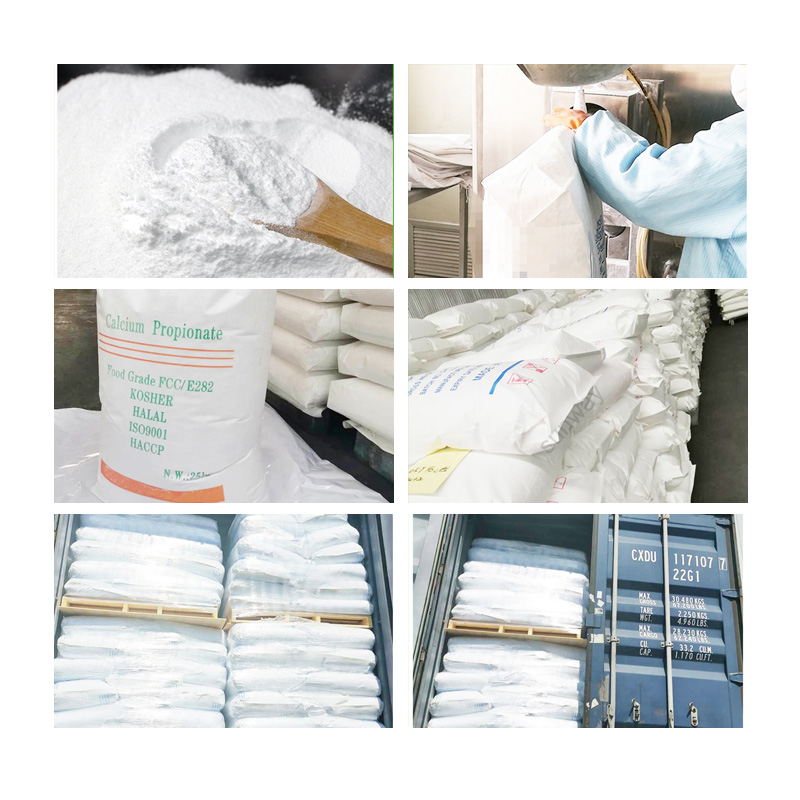Food Grade Preservatives Additives E282 25kg Bag Calcium Propionate Powder for Bread/cakes/biscuit