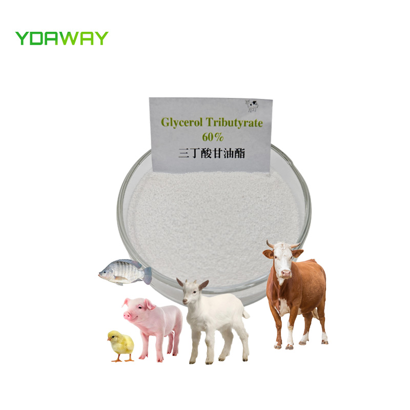 Feed Grade 60% 95% Glyceryl Tributyrate Powder & Granule