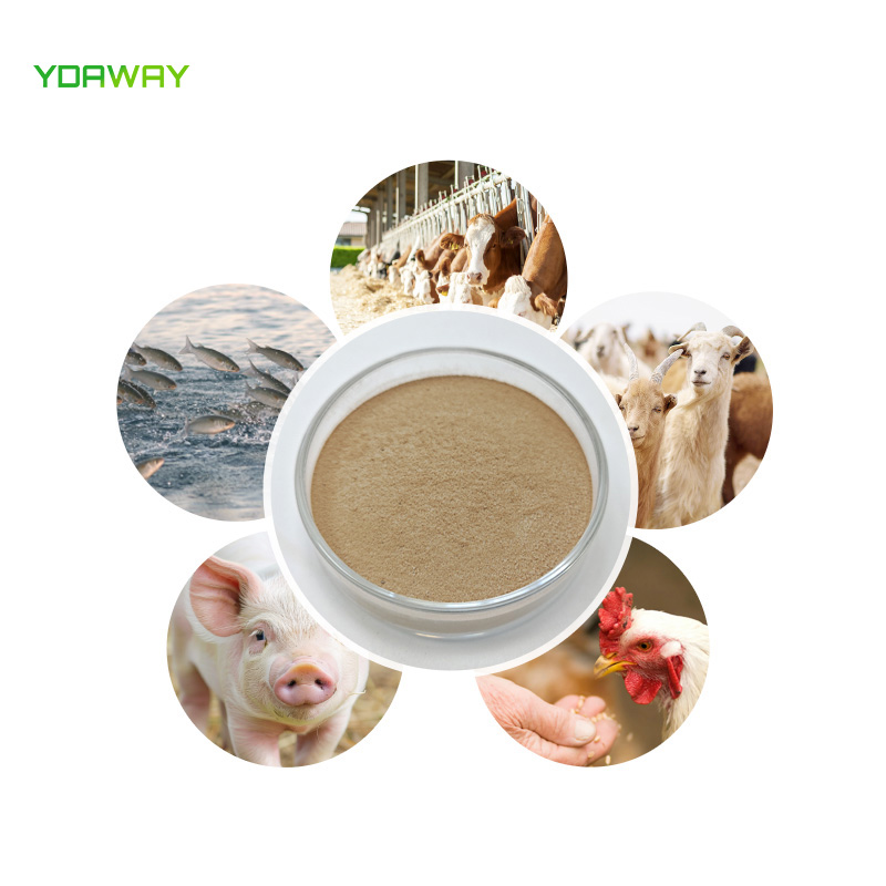 YDAWAY High Quality Thermostable Alpha-amylase Enzyme Powder Price