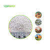 SUNWAY 22% MCP Feed Grade Monocalcium Phosphate Growth Promoting