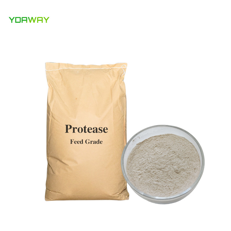 Food Grade Feed Grade Alkaline Protease Enzymes Neutral Protease Powder Cas 9014-01-1