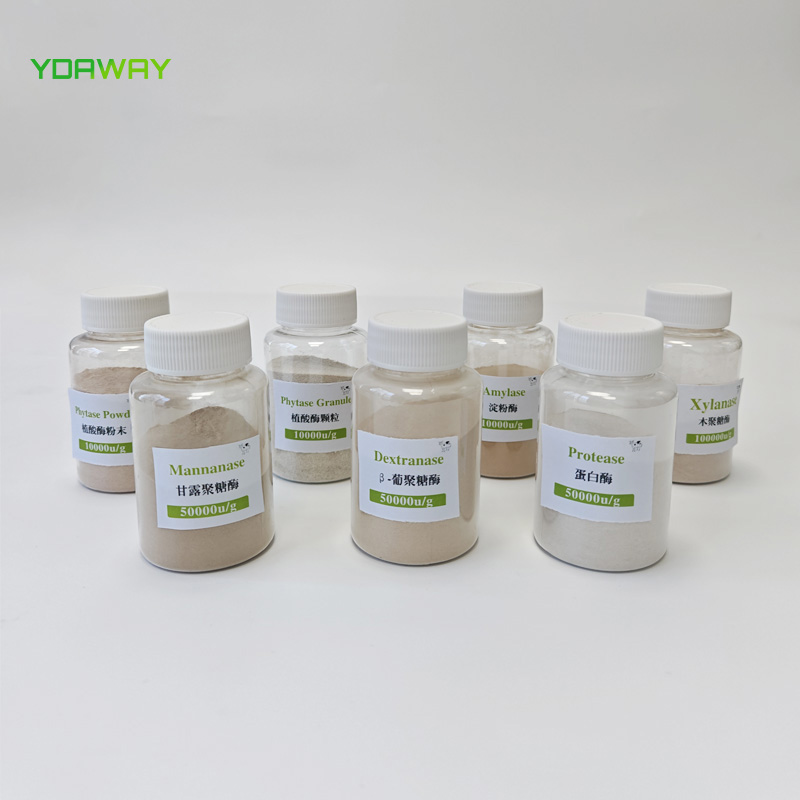 YDAWAY Feed Grade Thermostable Xylanase Enzyme for Animal Feeds to Improve Energy Utilization