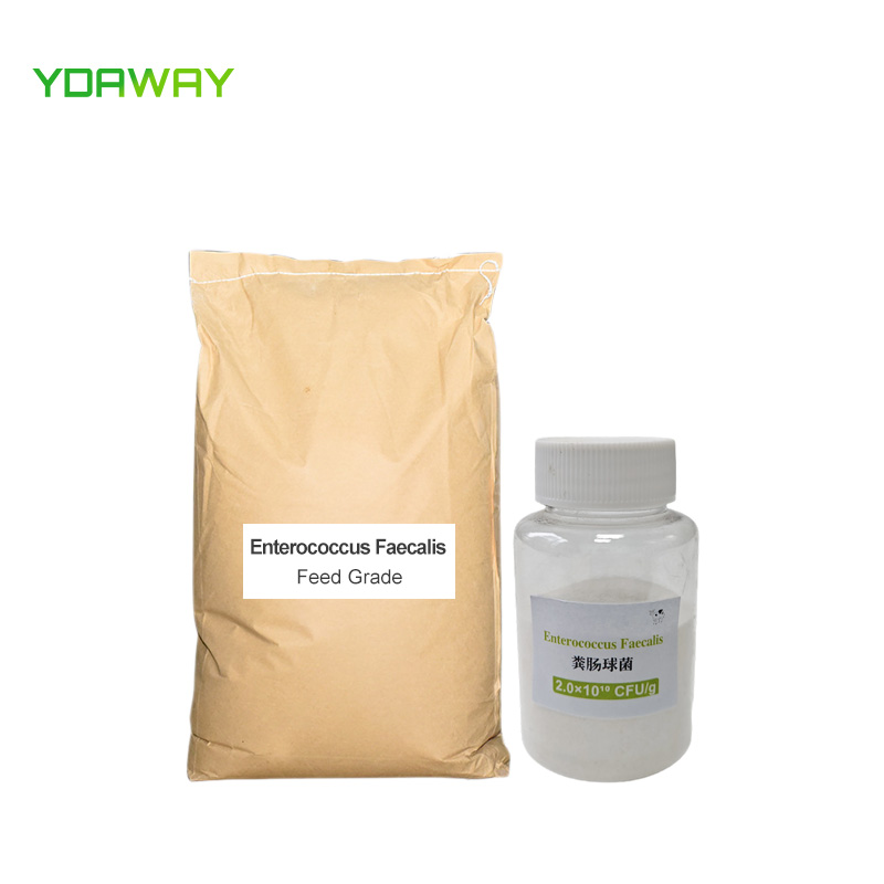 Factory Supply Enterococcus Faecalis 100 Billion Feed Additive Enterococcus Faecalis Powder for Animal