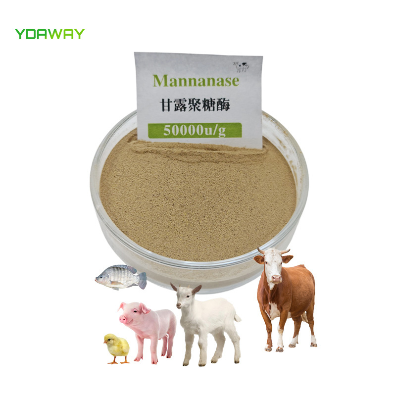 YDAWAY Feed Grade 50000u/g Mannanase Enzyme Beta Mannanase for Enhance Animal Immunity