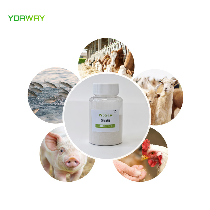 Food Grade Feed Grade Alkaline Protease Enzymes Neutral Protease Powder Cas 9014-01-1