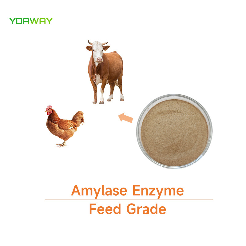 YDAWAY High Quality Thermostable Alpha-amylase Enzyme Powder Price