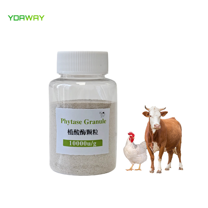 YDAWAY Feed Grade Phytase Enzymes Phytase 5000u/g Powder 10000u/g Granule for Poultry Feed