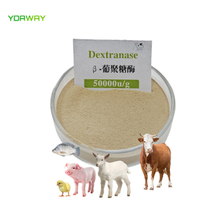 Feed Additives 25kg Bag 50000u/g Beta Dextranase Enzyme Powder for Enhance Immunity